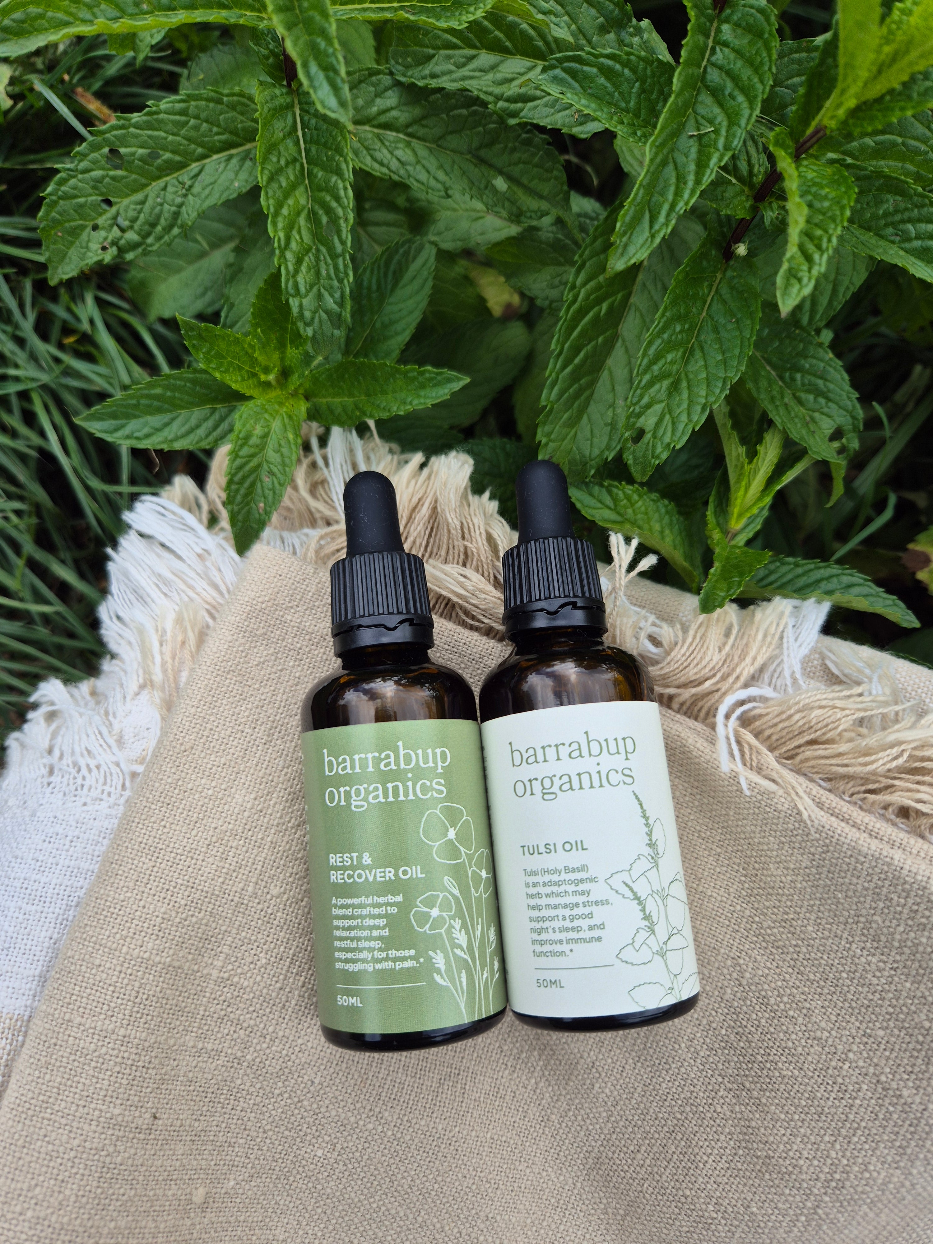 Herbal Extract Bundle