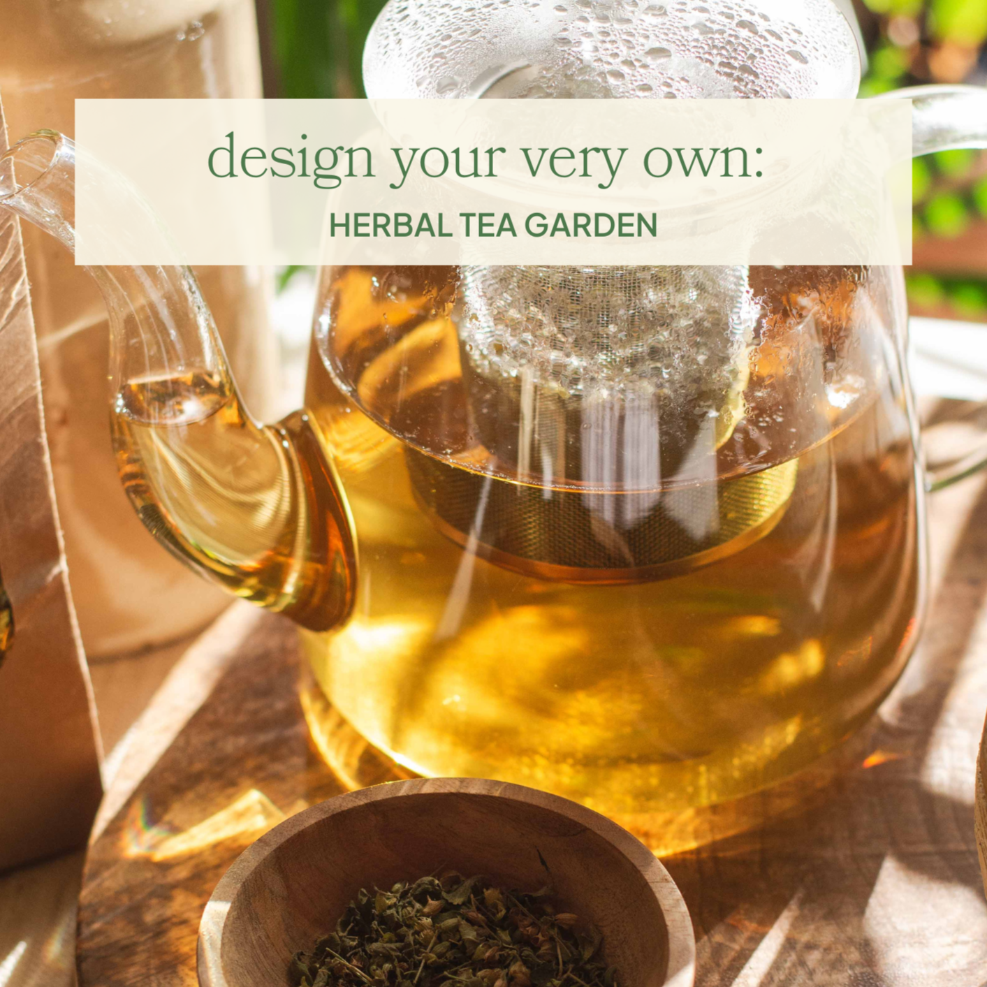 Grow Your Own Herbal Tea Garden