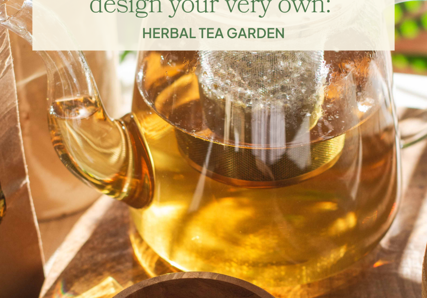 Grow Your Own Herbal Tea Garden