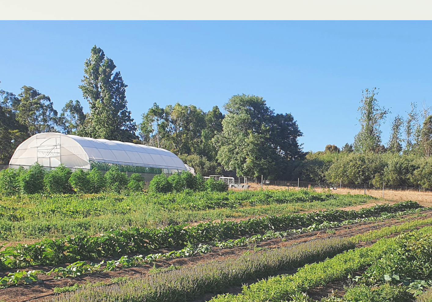 Starting from Scratch: An Organic Farmer's Journey